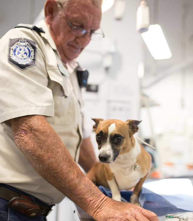 rspca inspector laurie with dog dumped in bin